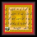 Akhtir malik 01 * 24.05.2007 * 350 x 287 * (21KB)